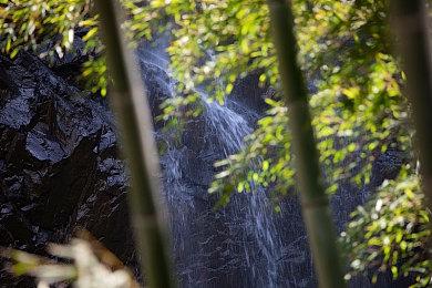 微软AI战略升级 初探更名后Microsoft 365 Copilot应用