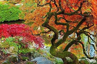 《战锤西格玛时代：毁灭之境》奸奇门徒预告 11月17日发售